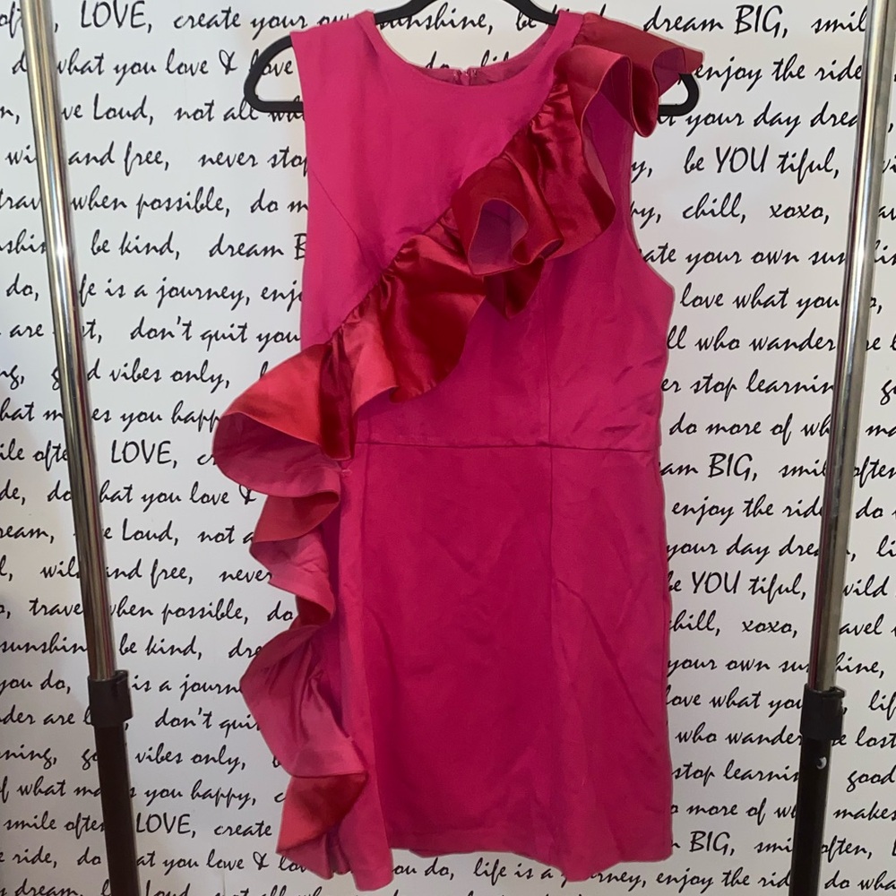 HUTCH SLEEVELESS RUFFLE SHEATH MINI DRESS - Picture 5 of 10